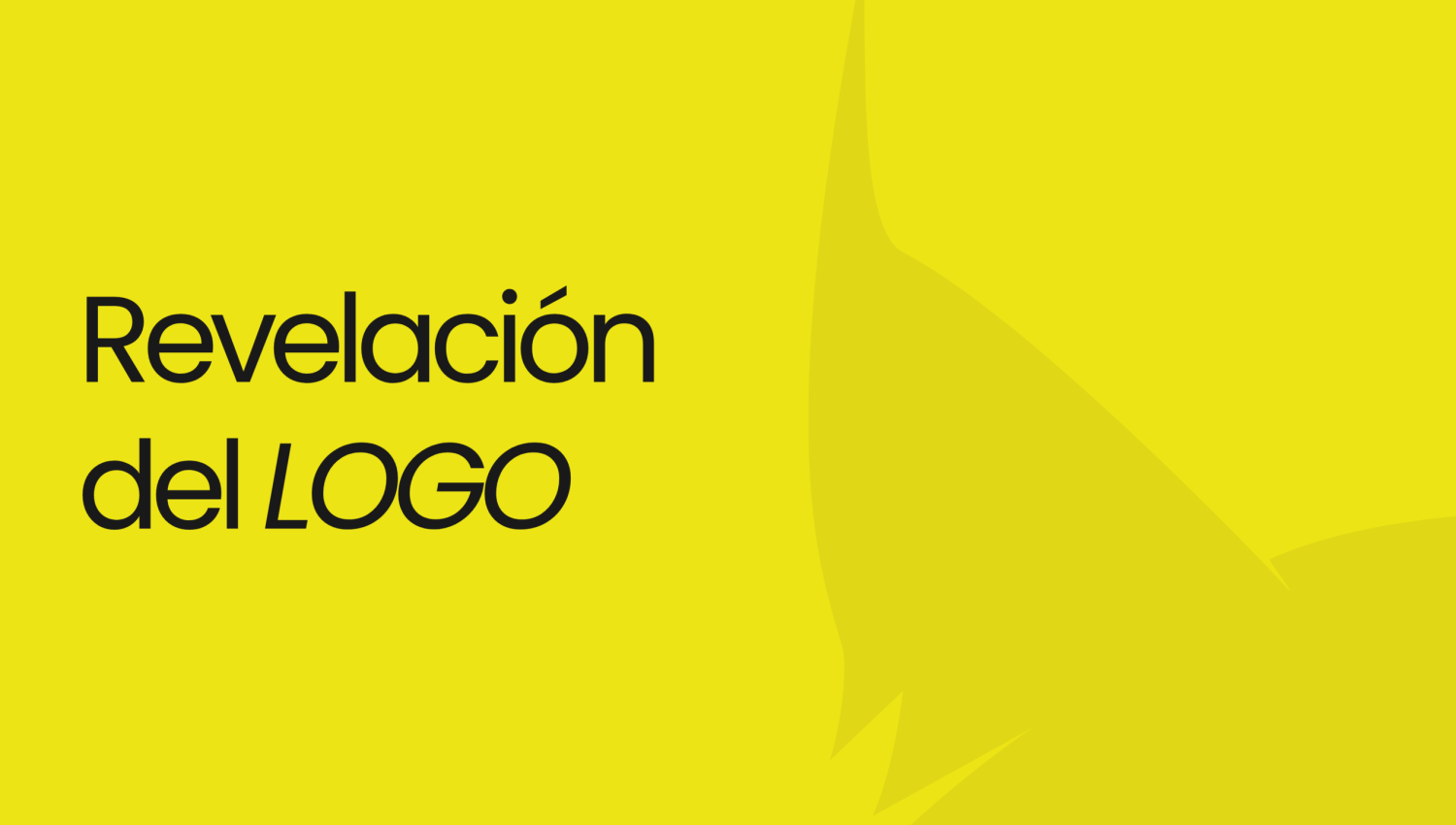 Dossier Rebranding DGPD 2025 (5)